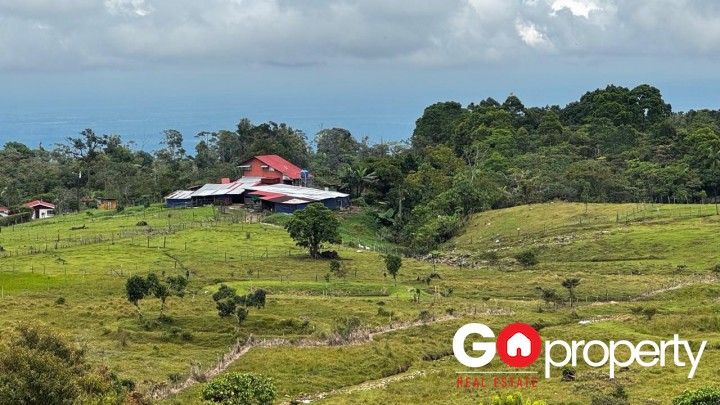 Venta de Hermosa Finca, La Alegría, Siquirres.